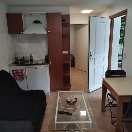Ferienwohnung Deux Pieces Avec Grande Terrasse Au Calme Saint-Martin-Vésubie Exterior foto