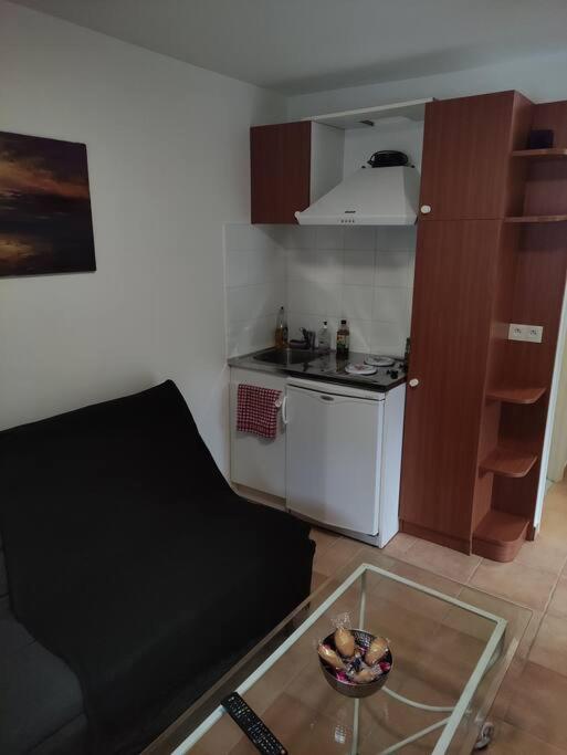 Ferienwohnung Deux Pieces Avec Grande Terrasse Au Calme Saint-Martin-Vésubie Exterior foto