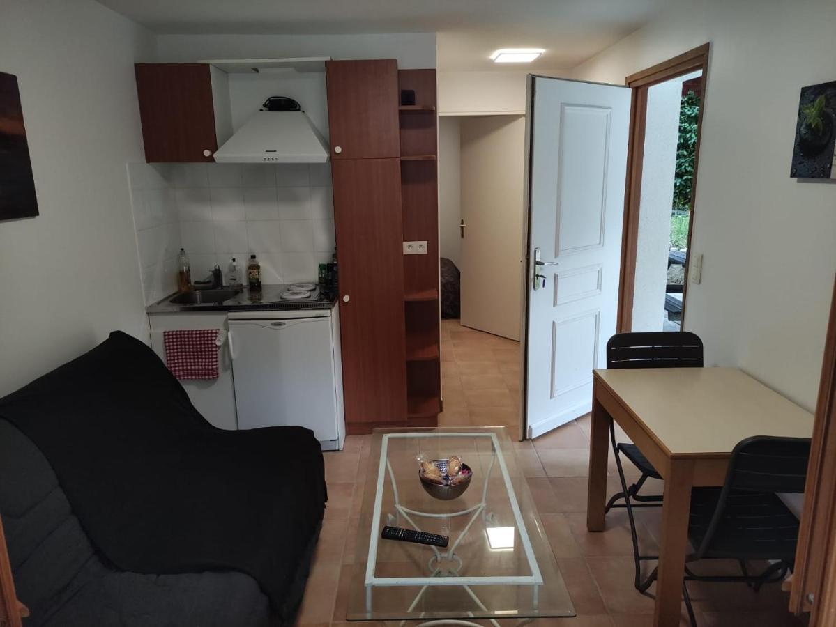 Ferienwohnung Deux Pieces Avec Grande Terrasse Au Calme Saint-Martin-Vésubie Exterior foto